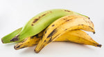 Fresh Plantain