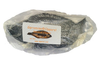 Smoked dried tilapia fish by Gpromise@Opparel