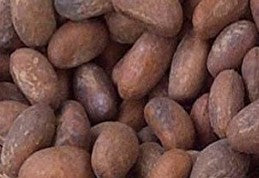 Bitter Kola Nuts by Opparel